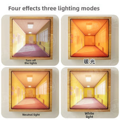 3D Illusion Night Light with Wooden Base